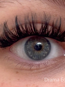 Drama Edition - Mini Box