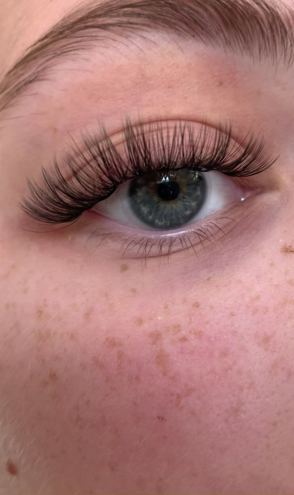 Lash Lover