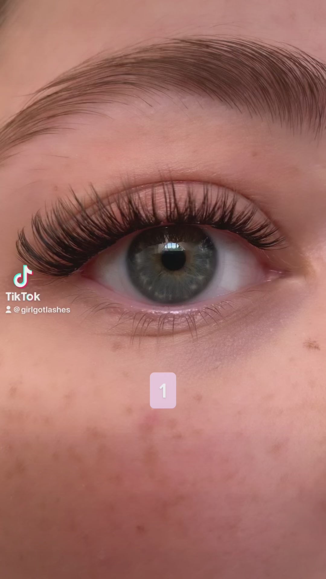 Cat-Eye Edition